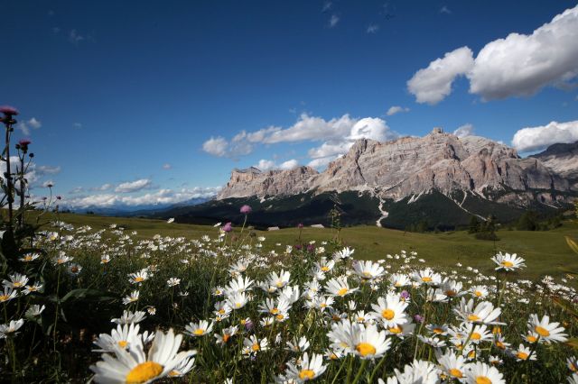 Immagine: Estate nelle Dolomiti