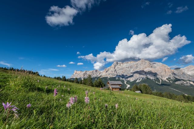 Immagine: Estate nelle Dolomiti